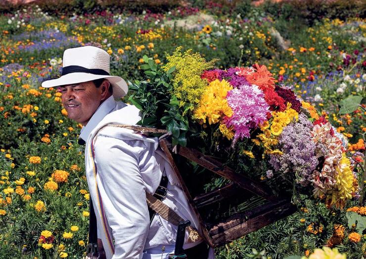 MEDELLIN BLOOMS 🌷🌸 Solar Hotels & Resorts MEDELLIN BLOOMS 🌷🌸 Solar Hotels & Resorts