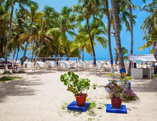 Solar Hoteles & Resorts Solar Hoteles & Resorts