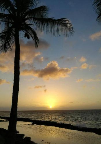 Hotel Sol Caribe Campo Isla de San Andrés Hotel Sol Caribe Campo Isla de San Andrés
