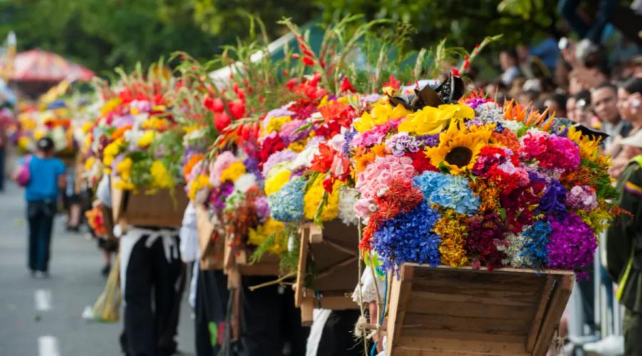 Solar Hoteles & Resorts Solar Hoteles & Resorts