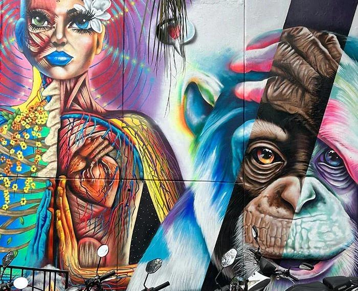 Experiencias Solar Solar Hoteles & Resorts Experiencias Solar Solar Hoteles & Resorts